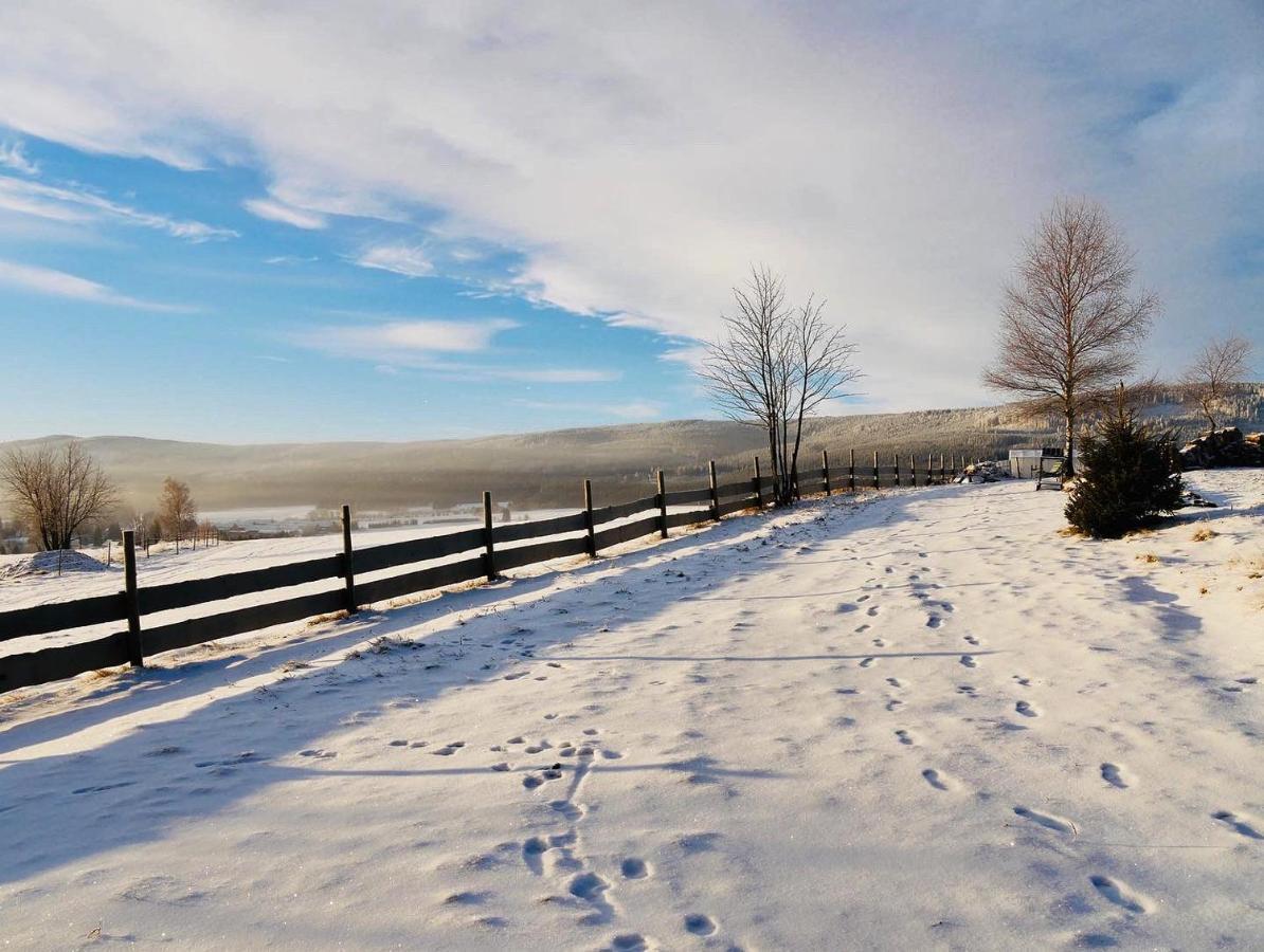 Wzgorze Owiec Sheep Hill Мостовіце Екстер'єр фото
