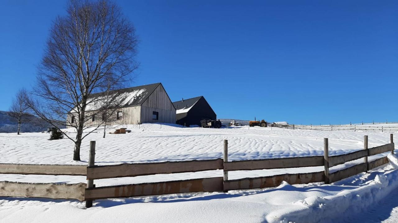 Wzgorze Owiec Sheep Hill Мостовіце Екстер'єр фото